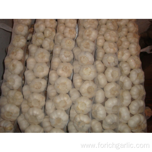 Best Quality Pure White Garlic Braids